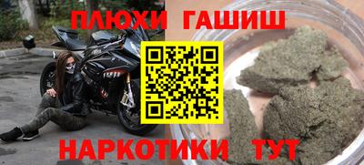 мяу мяу мука Новозыбков