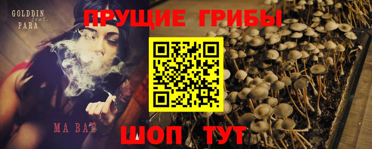 Галлюциногенные грибы GOLDEN TEACHER Томск