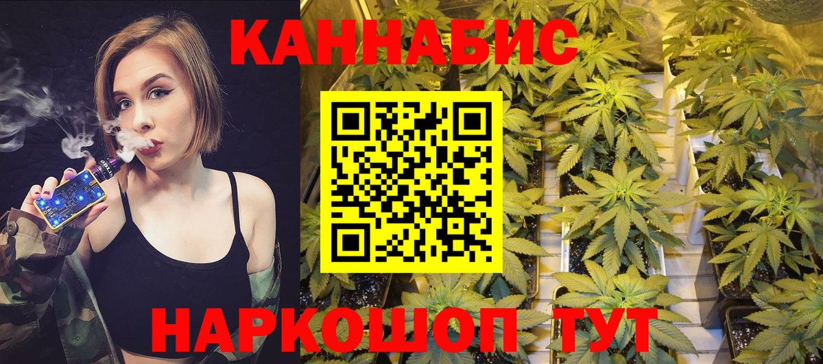 Канабис гибрид Томск